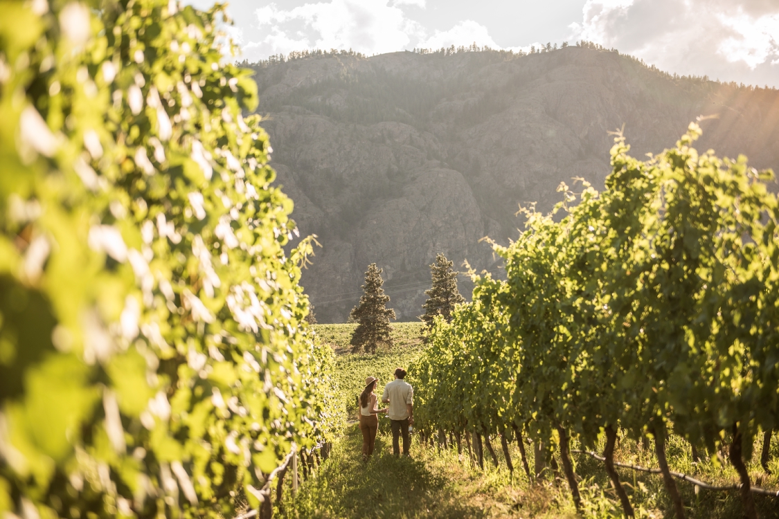 A mand and a woman walk through an orchard.