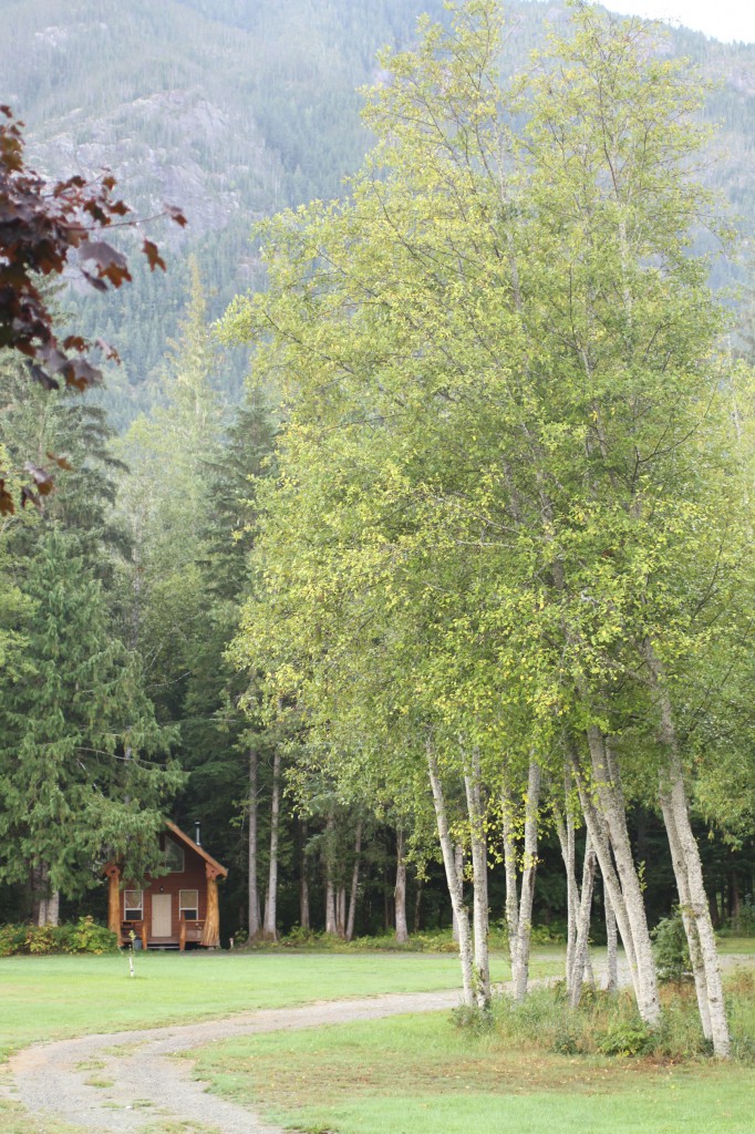A small log cabin nestled in the woods.
