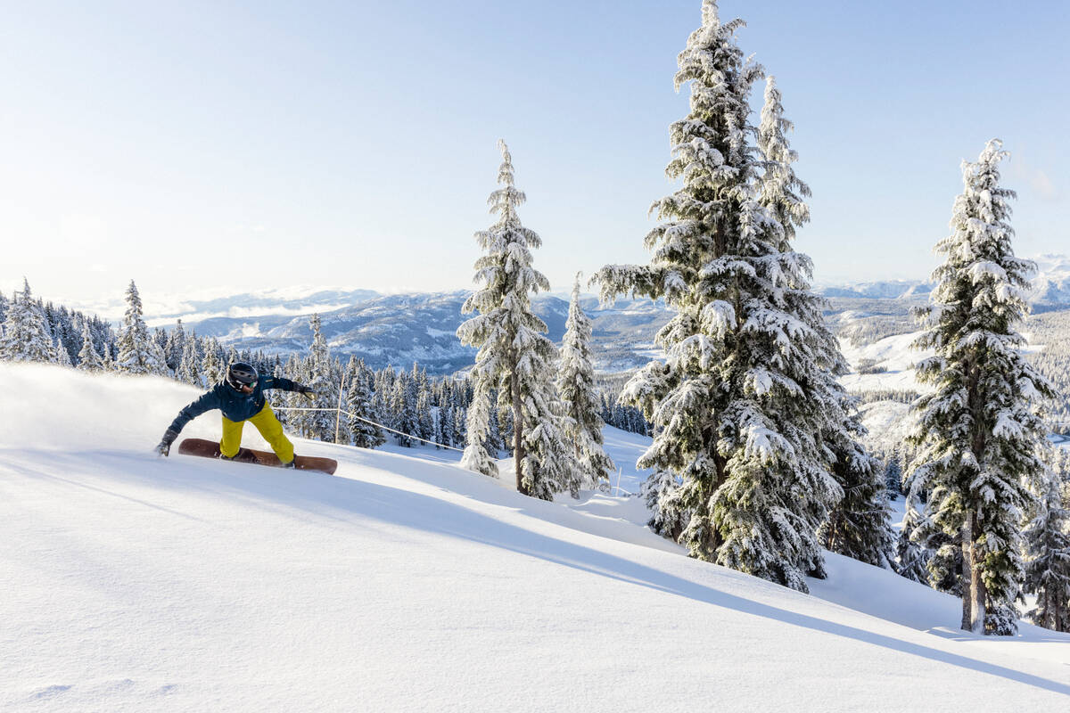Snowboarder at Mount Washington Alpine Resort on a powder day.