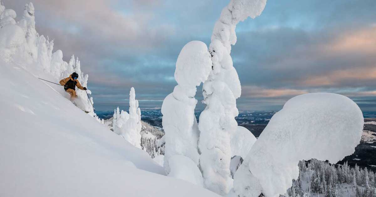 A skier glides through powder with trees blanketed with snow that look like snow ghosts.